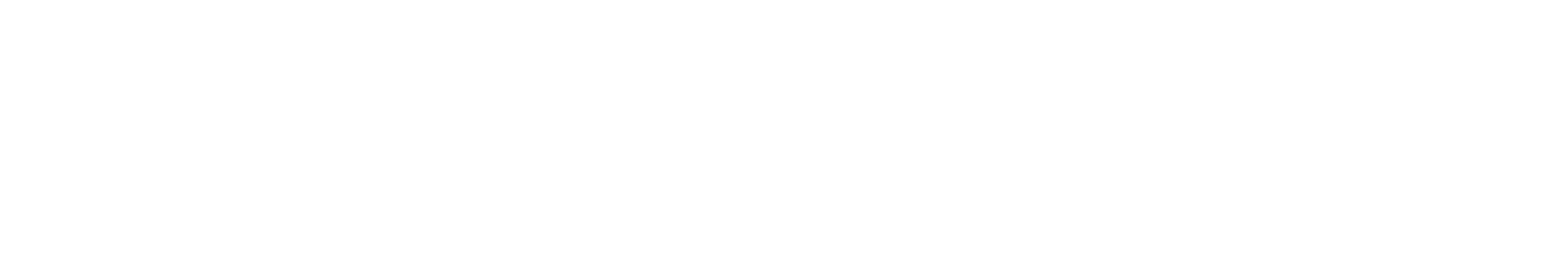 Dijital Bilet